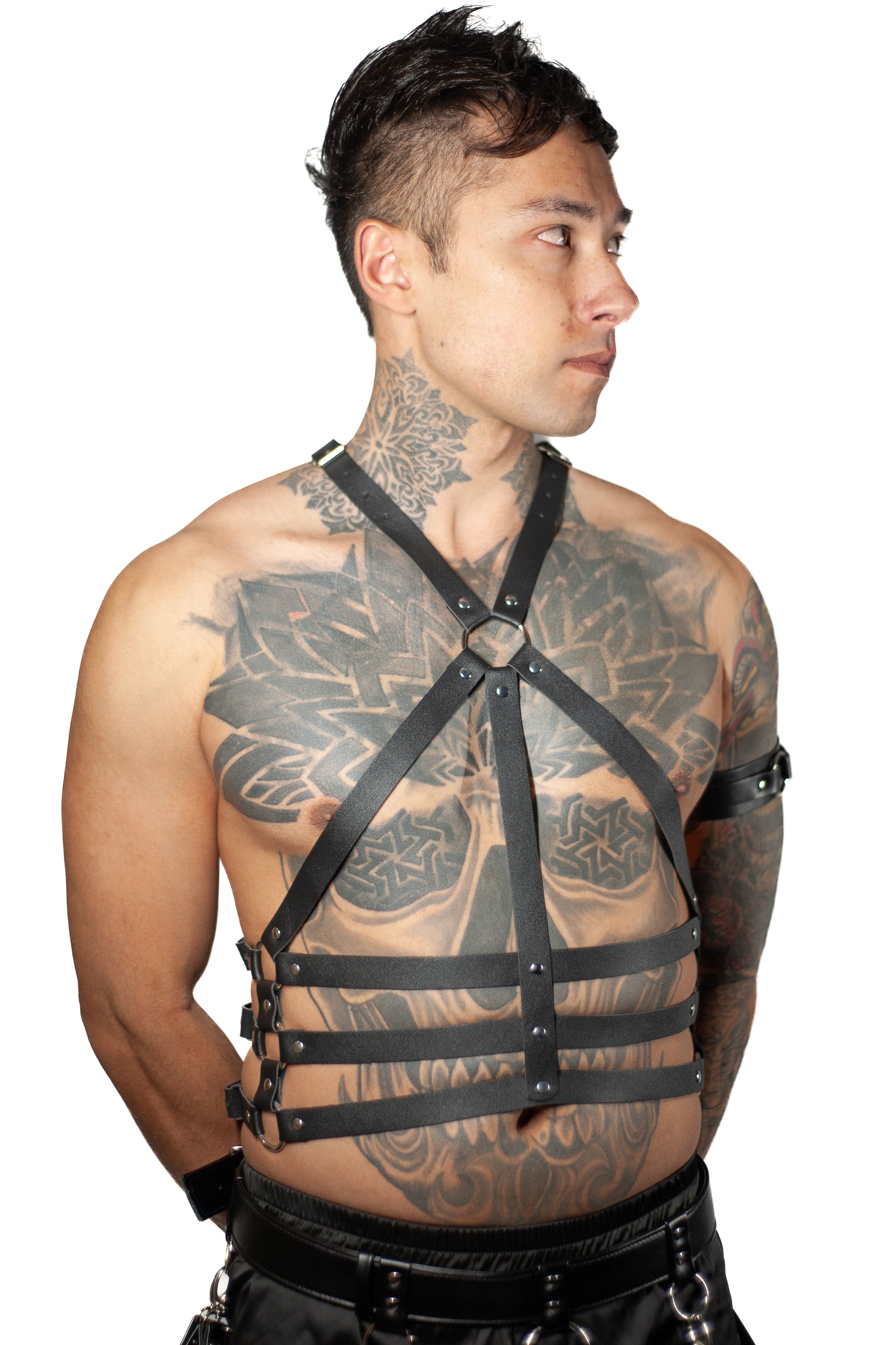 Chain Halter Harnesses