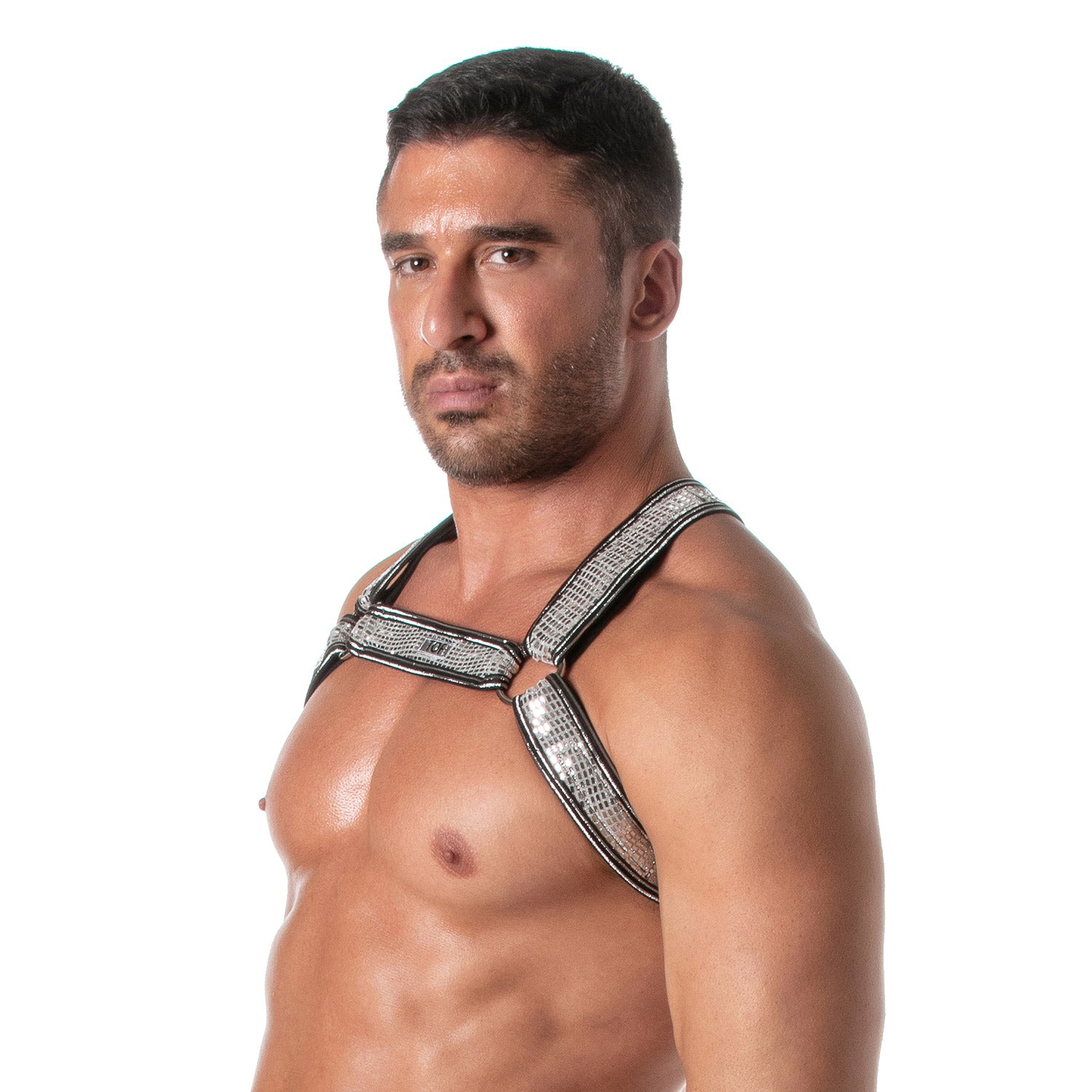 Glitzer-Bulldog Harness Silber - Einzelstück - TOF Paris - Shop Deutschland Noodosz