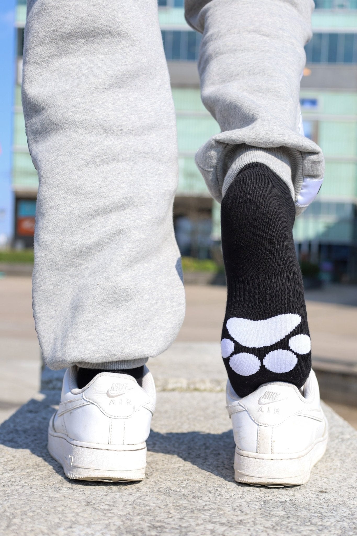 Sk8erboy® PUPPY Short Crew Socks schwarz - Sk8erboy® - Shop Deutschland Noodosz
