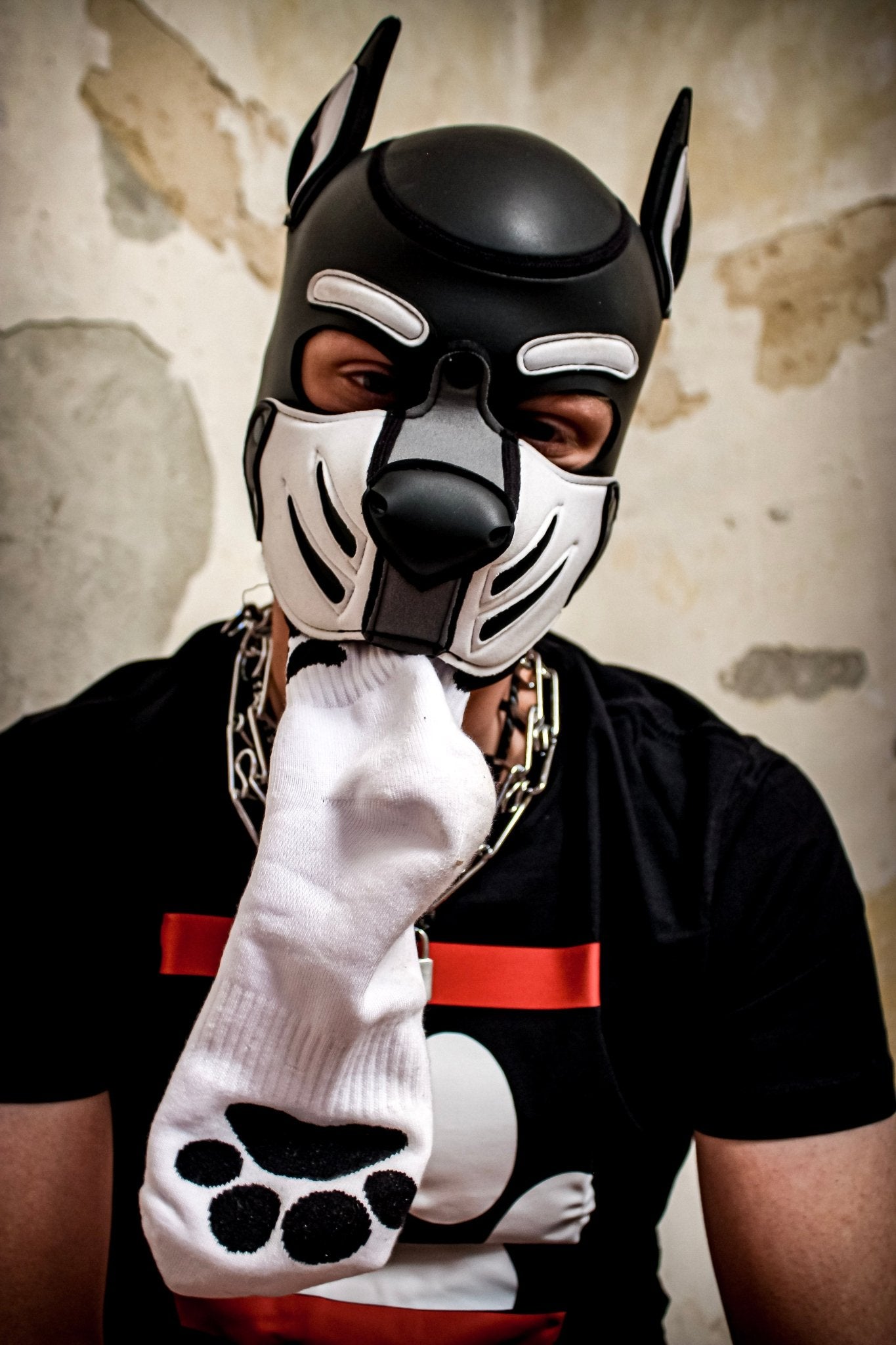 Sk8erboy® PUPPY Short Crew Socks weiß - Sk8erboy® - Shop Deutschland Noodosz