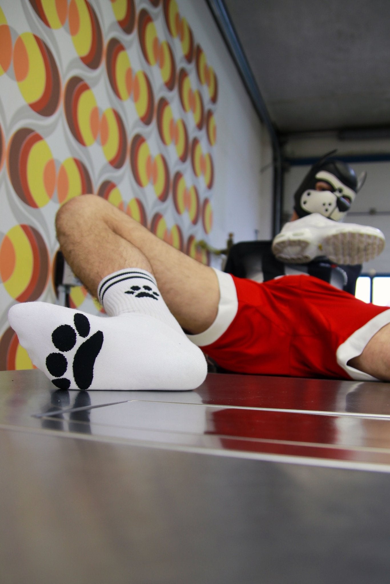 Sk8erboy® PUPPY Socks weiß - Sk8erboy® - Shop Deutschland Noodosz