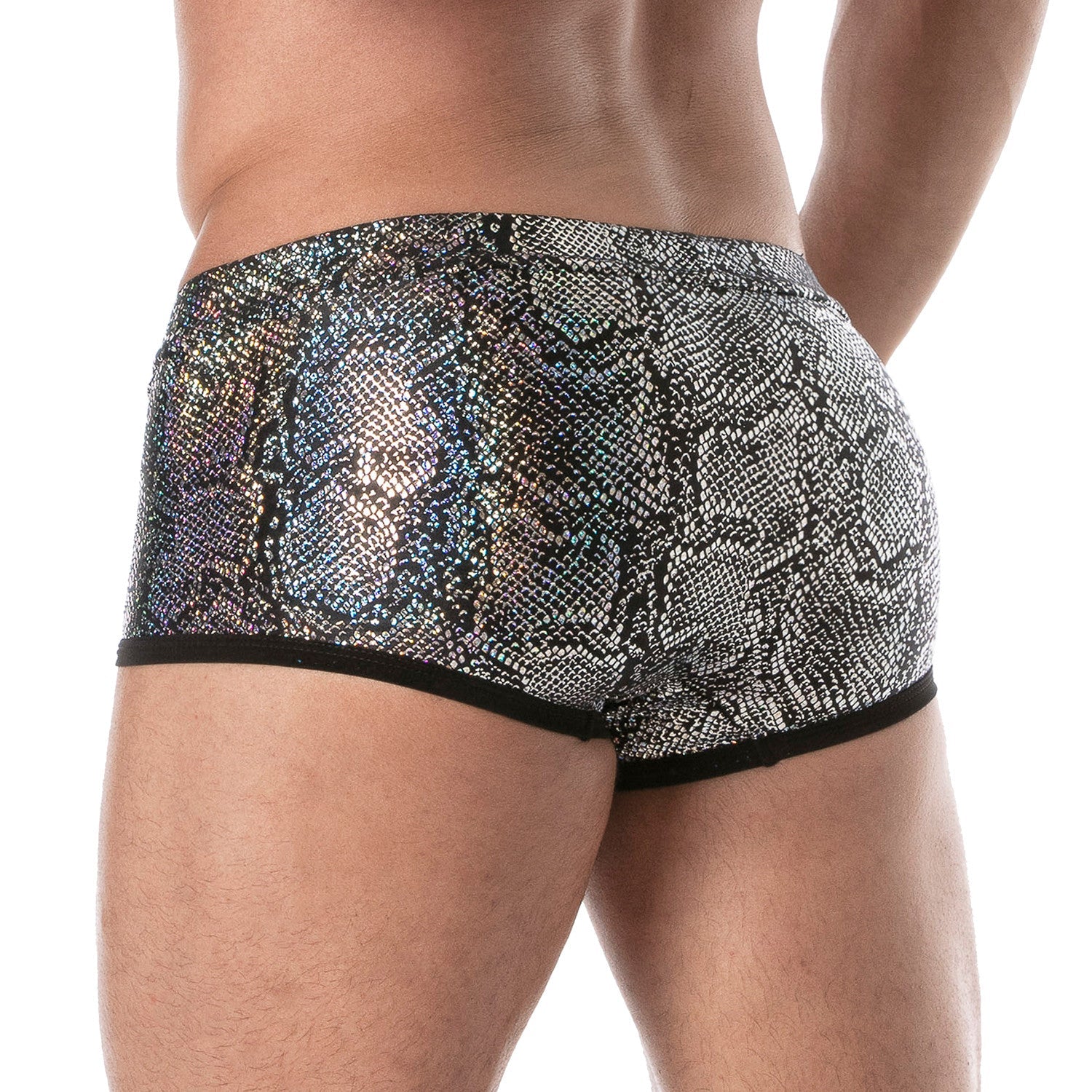 Splendid Badehose – Silber - TOF Paris - Shop Deutschland Noodosz