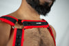 Neo Harness