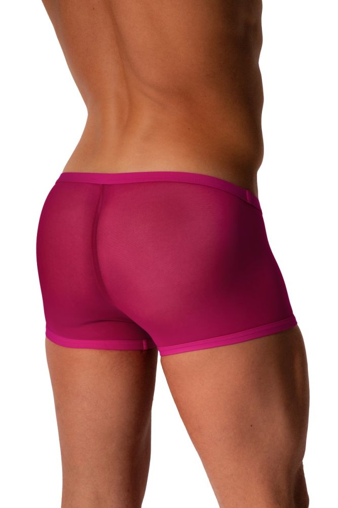 Micro Pants M2572 transparent aus Tüll - MANSTORE - Shop Deutschland Noodosz