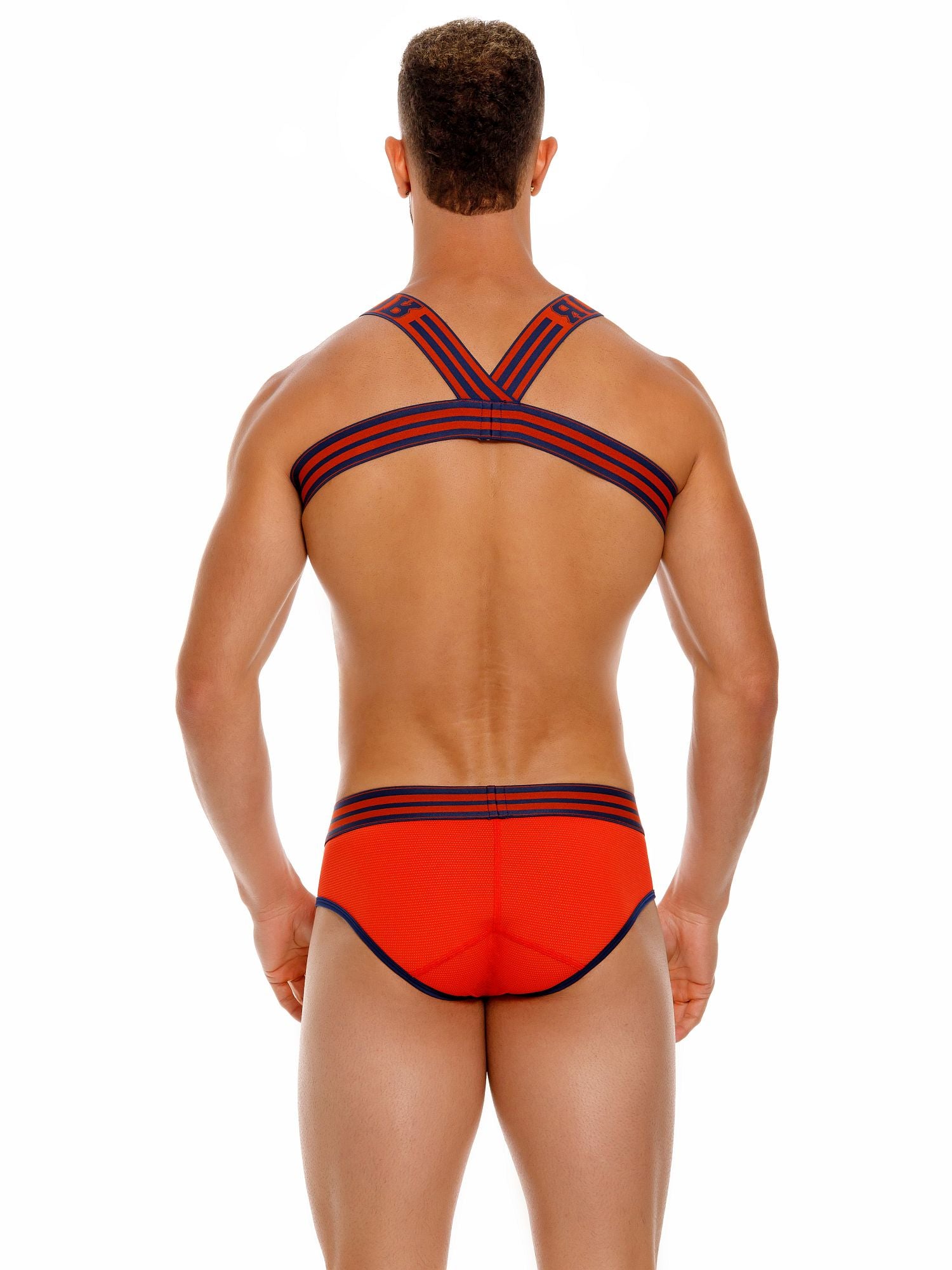 JOR 1949 COLLEGE Harness chest harness