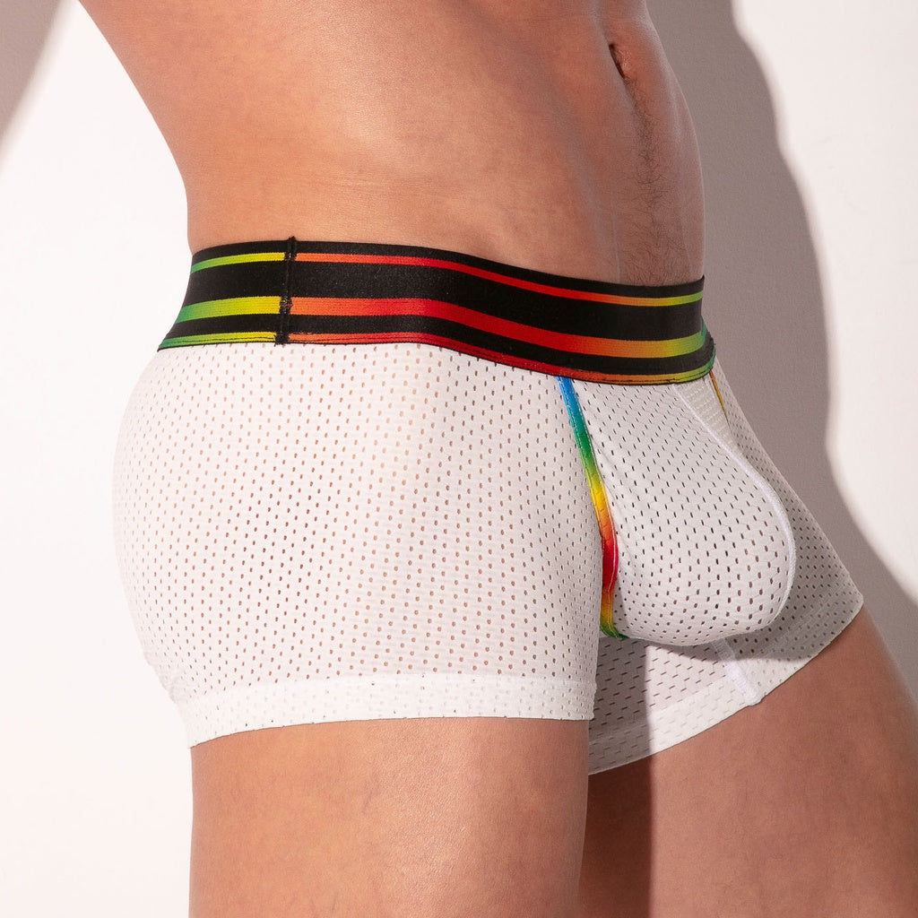 CODE 22  PRIDE MESH BOXER - 2232 Boxershorts