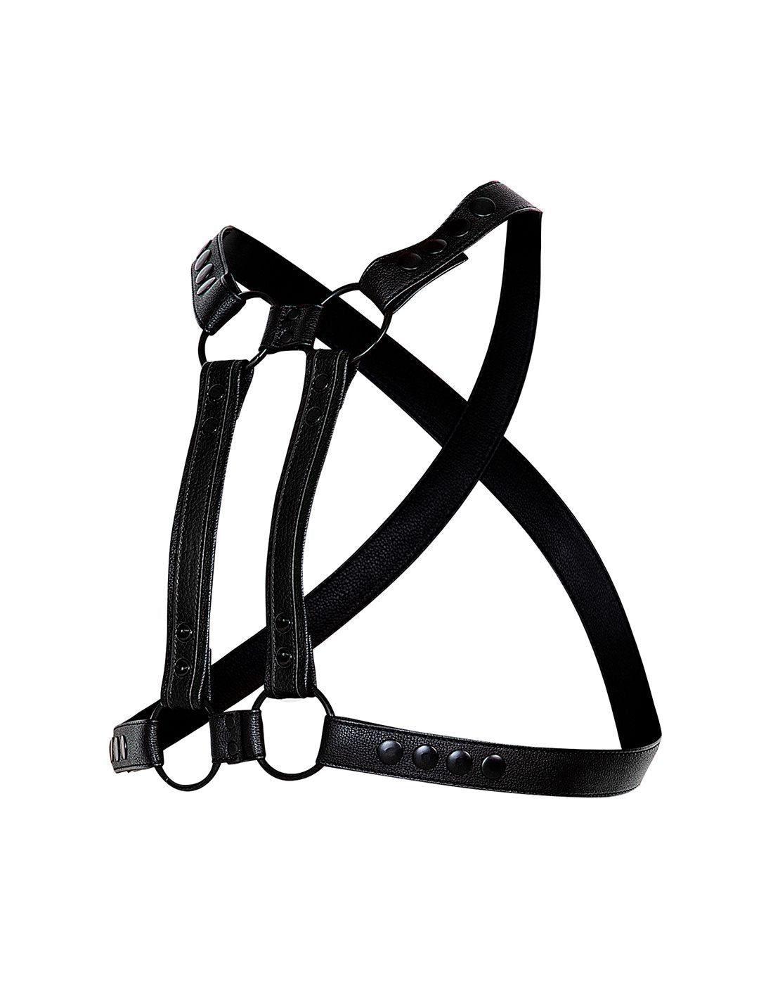 4 - Way Harness - Pole - Shop Deutschland Noodosz