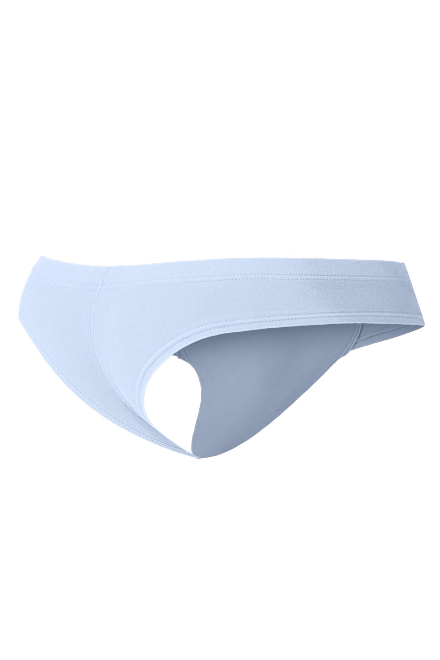 Lavendel Hybrid Cheeky Brief C4MSPX22 - XL