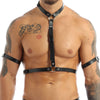 Chain Halter Harnesses