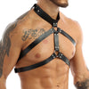 Chain Halter Harnesses