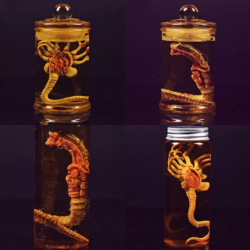 Xenomorph Larva Tank – Anime Alien Culture Vessel