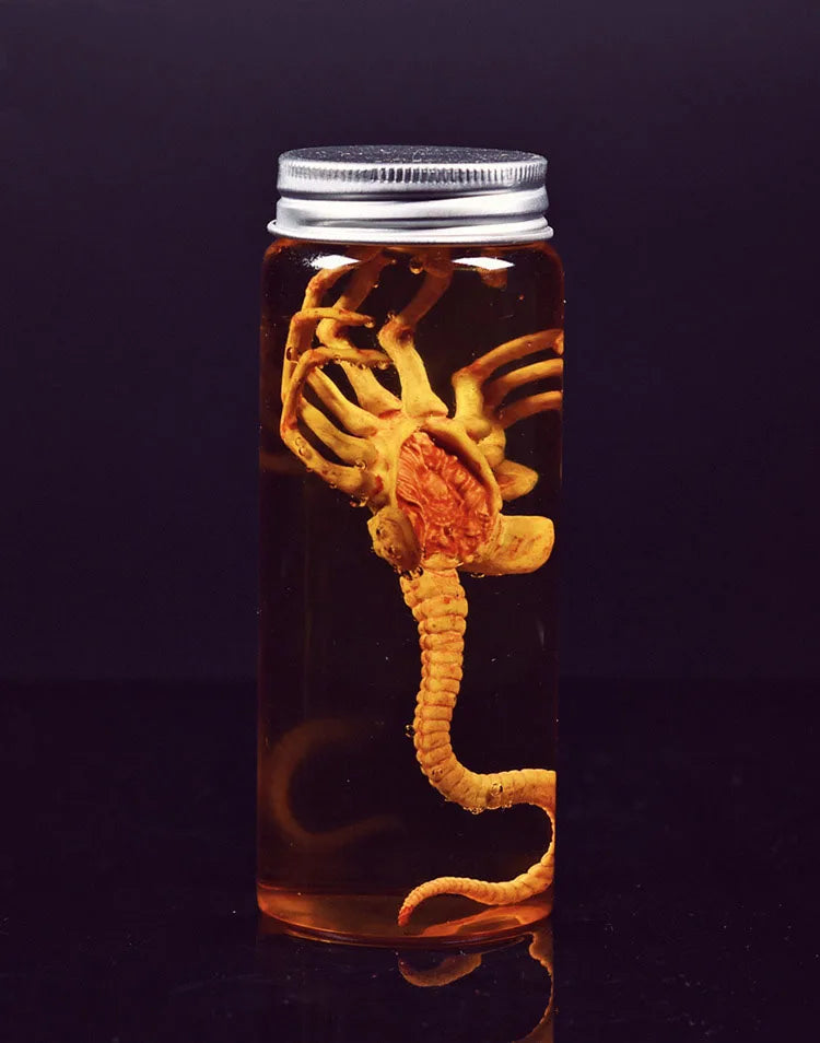 Xenomorph Larva Tank – Anime Alien Culture Vessel