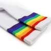 Classy Rainbow Socks (Sneakers / Long Socks)