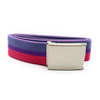 Pride Belt (Diversity)