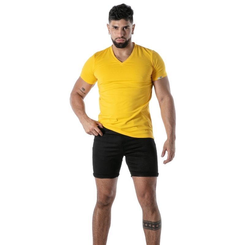 Colorful V-Neck T-Shirt