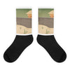 Trump x Mexico Wall - Socks