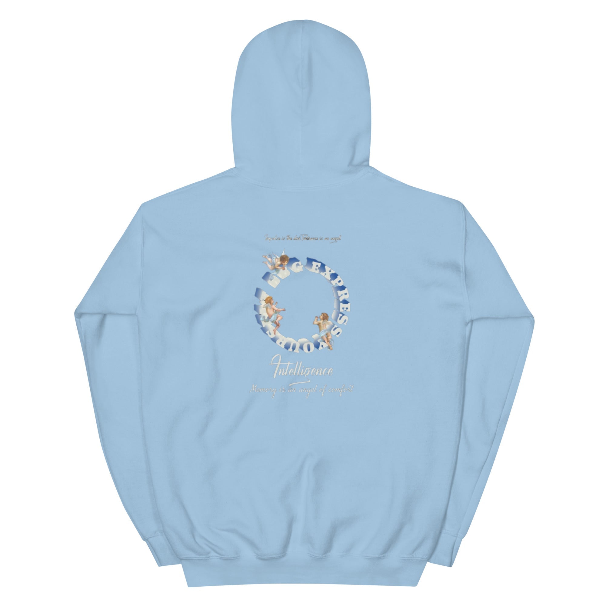 Fallen Angel Kapuzenpullover - NiZED - Shop Deutschland Noodosz