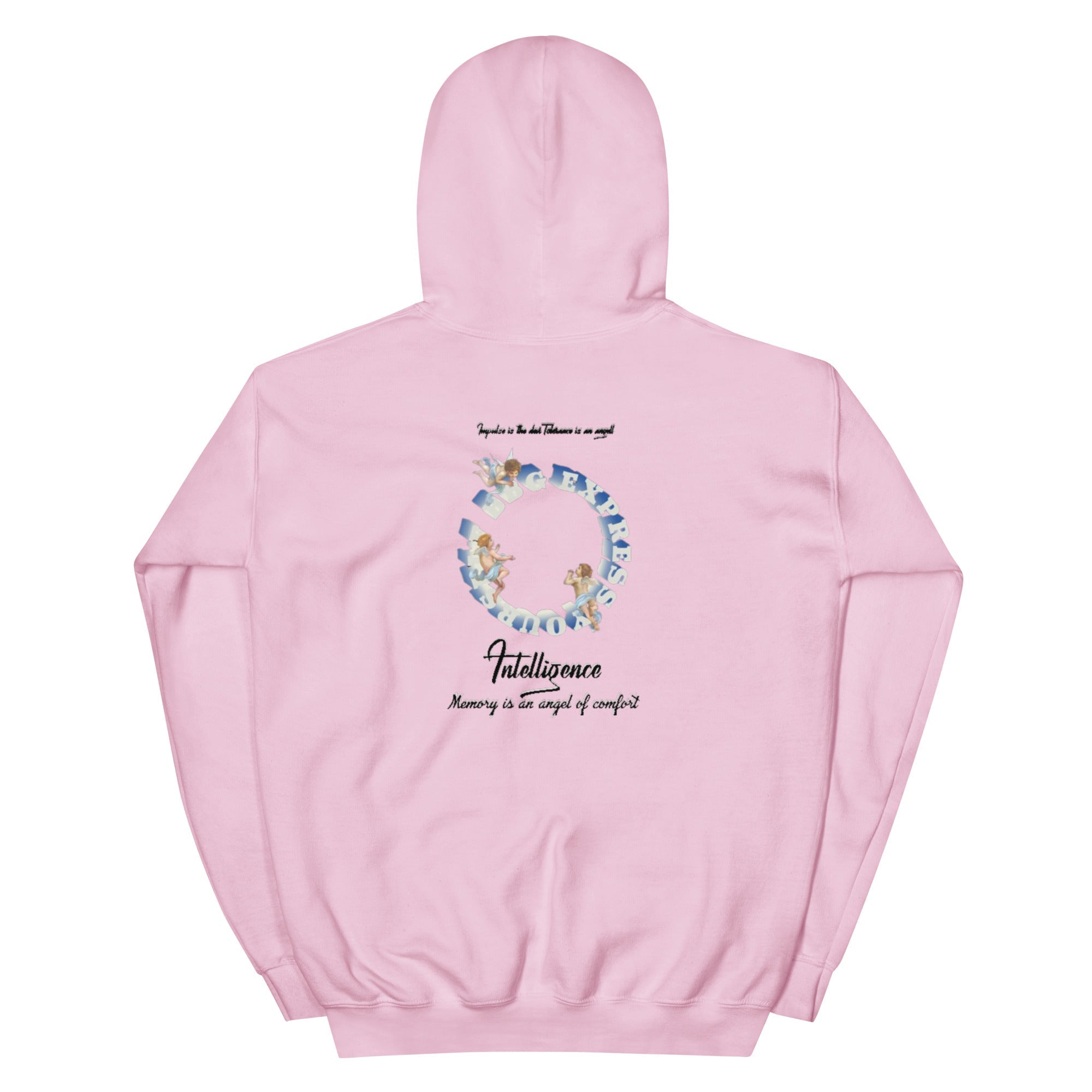 Fallen Angel Kapuzenpullover - NiZED - Shop Deutschland Noodosz