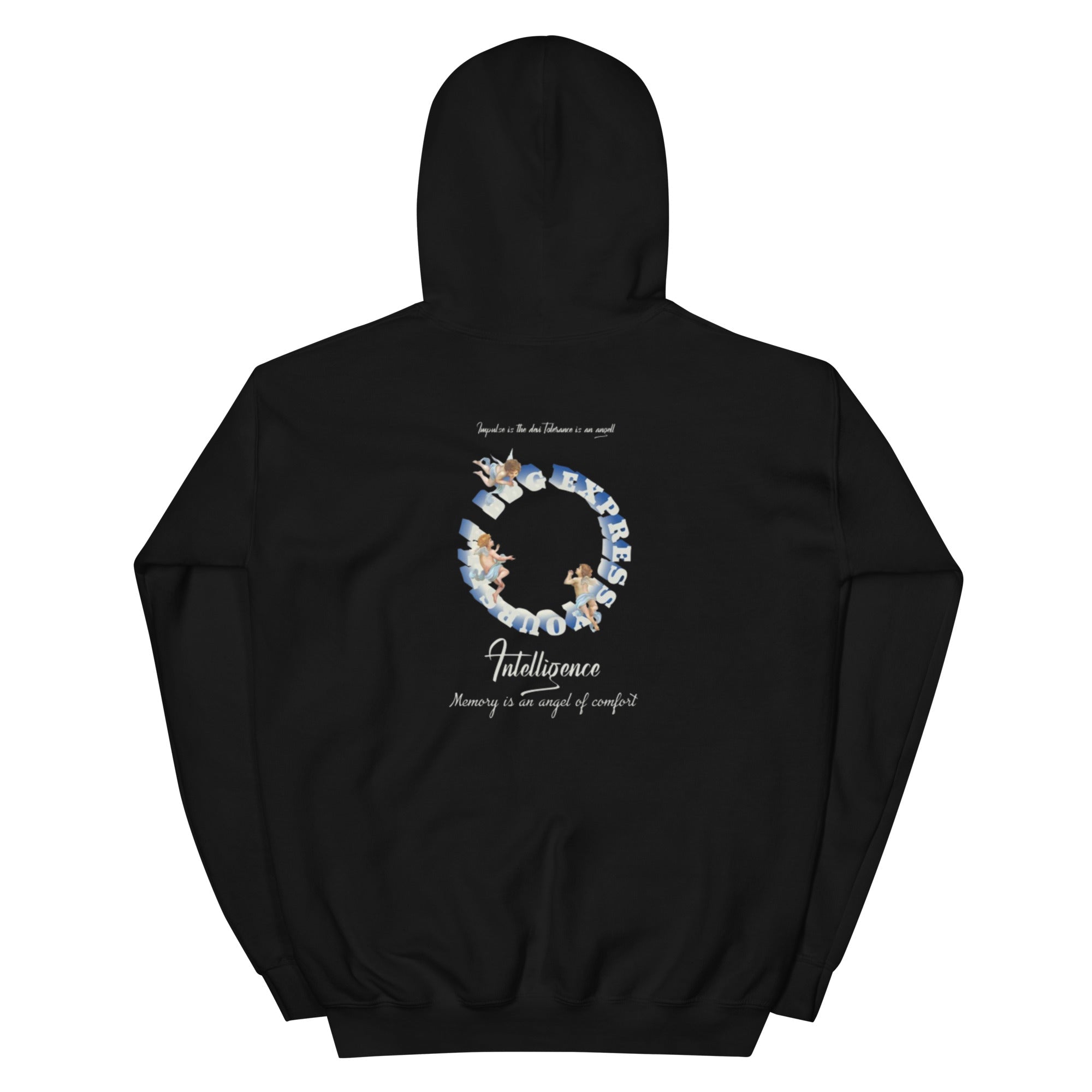 Fallen Angel Kapuzenpullover - NiZED - Shop Deutschland Noodosz