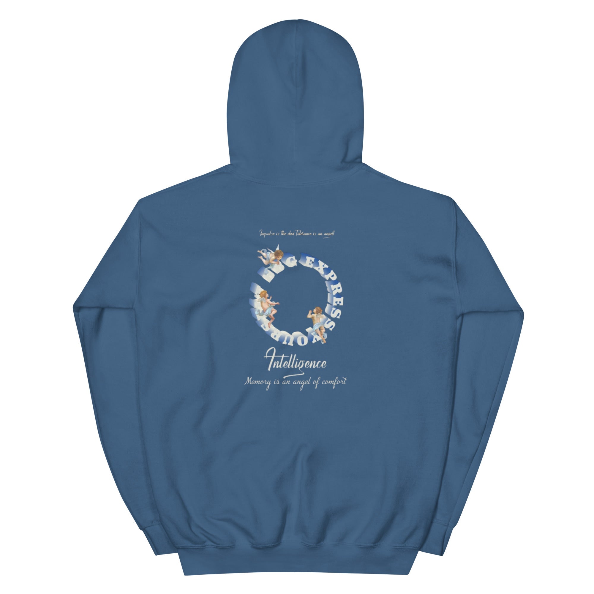 Fallen Angel Kapuzenpullover - NiZED - Shop Deutschland Noodosz