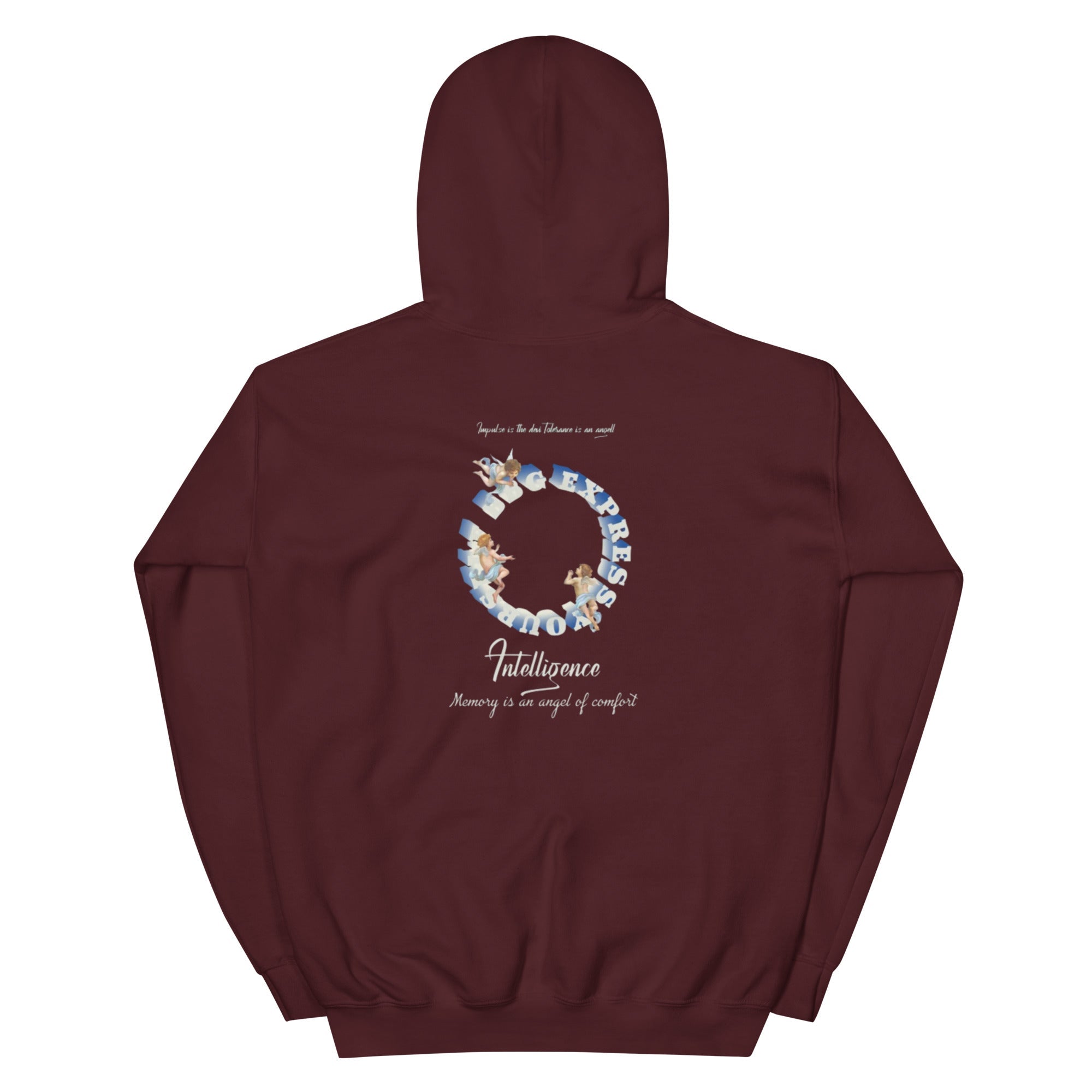 Fallen Angel Kapuzenpullover - NiZED - Shop Deutschland Noodosz