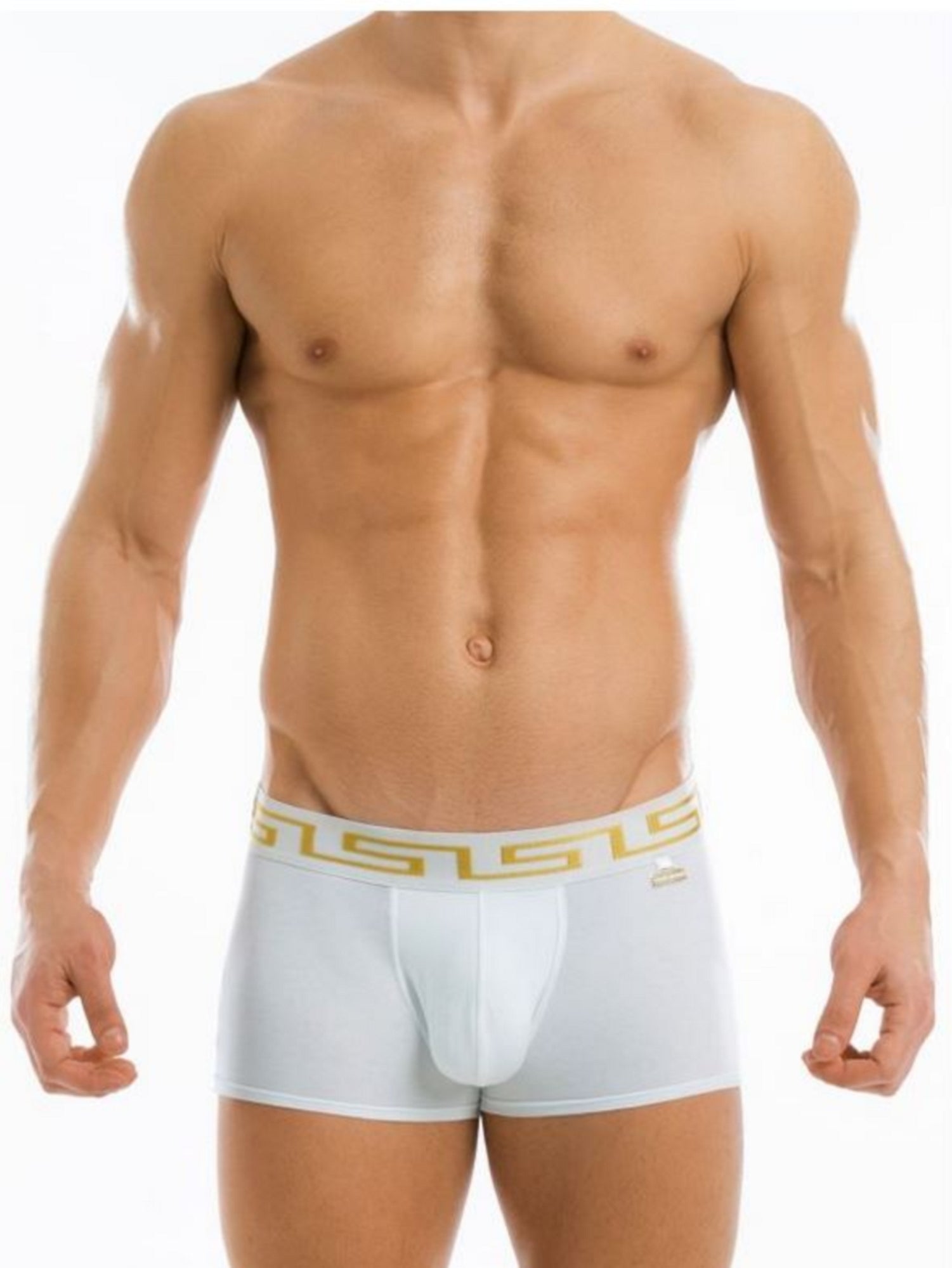 Modus Vivendi - 11621 Meander Boxer - noodosz Modus Vivendi - 11621 Meander Boxer Modus Vivendi Kleidung & Accessoires:Herren:Herrenmode:Unterwäsche nudosz.myshopify.com