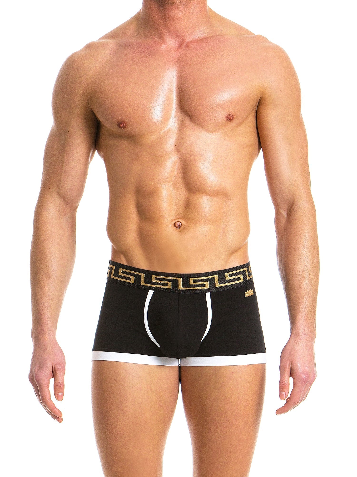 Modus Vivendi 19721 MEANDER BOXER - Boxershorts - noodosz