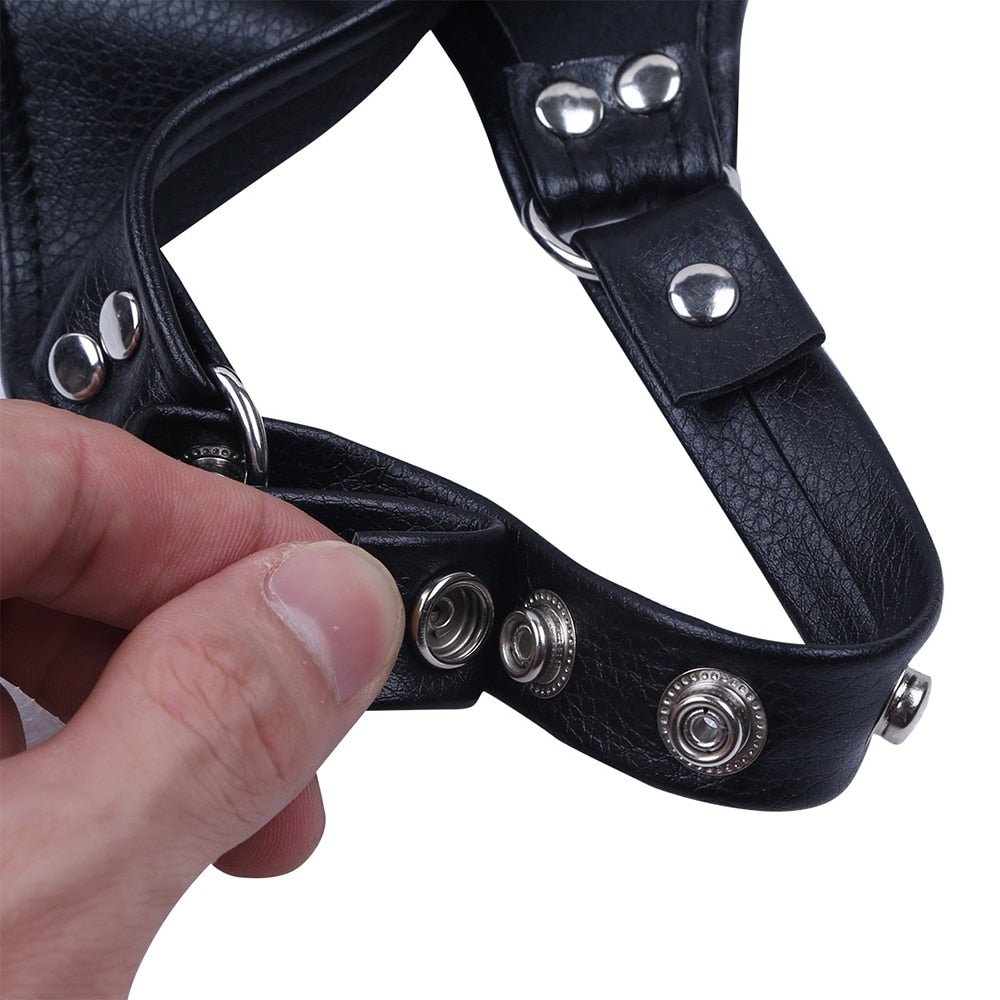 Neckline Chest Harness - Pole - Shop Deutschland Noodosz