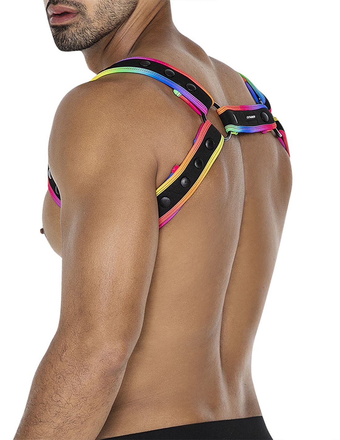Neo Harness - Pole - Shop Deutschland Noodosz