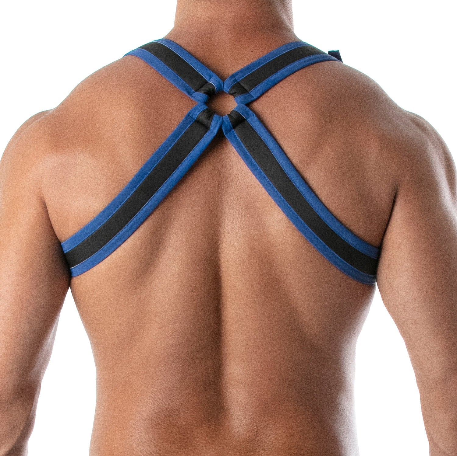 Neopren Bulldog Harness – Blau - TOF Paris - Shop Deutschland Noodosz