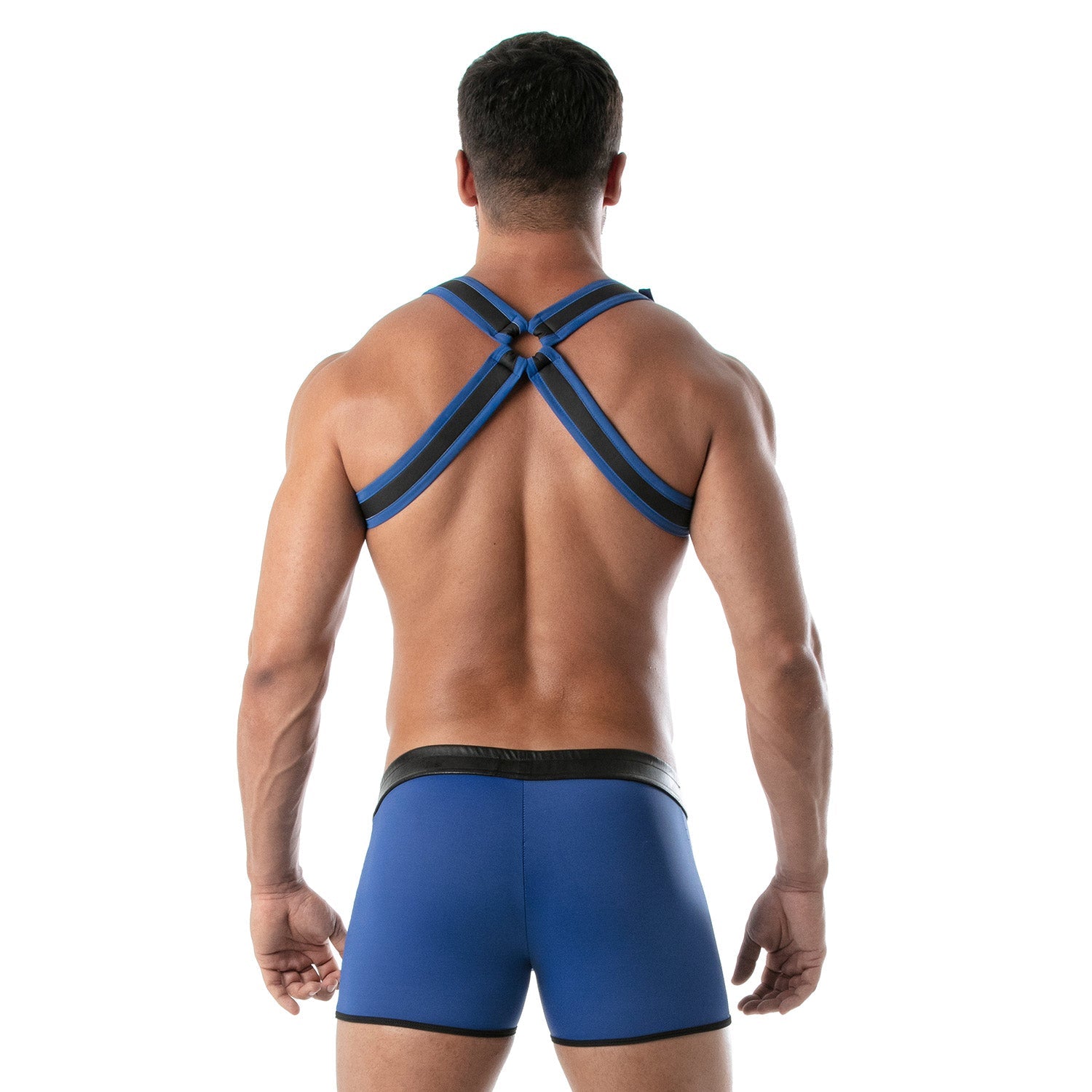 Neopren Bulldog Harness – Blau - TOF Paris - Shop Deutschland Noodosz