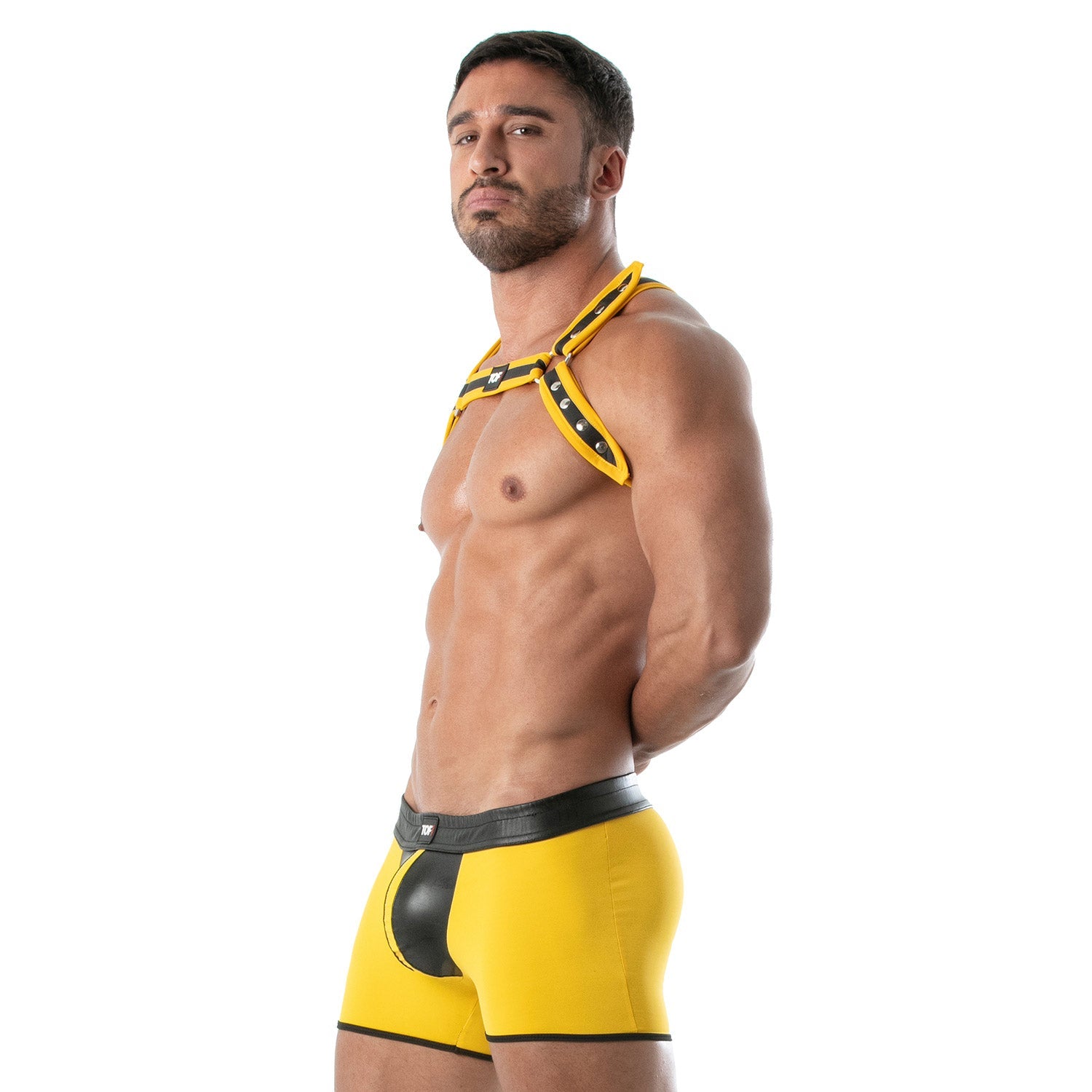 Neopren Bulldog Harness – Gelb - TOF Paris - Shop Deutschland Noodosz