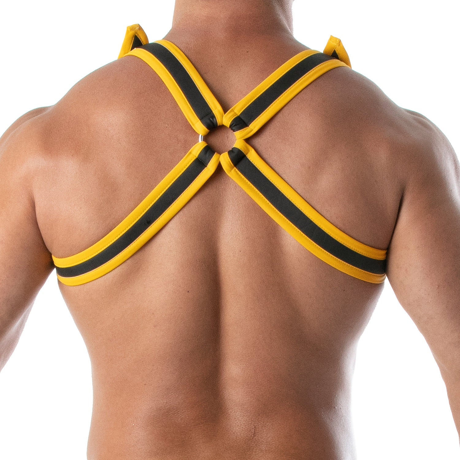 Neopren Bulldog Harness – Gelb - TOF Paris - Shop Deutschland Noodosz