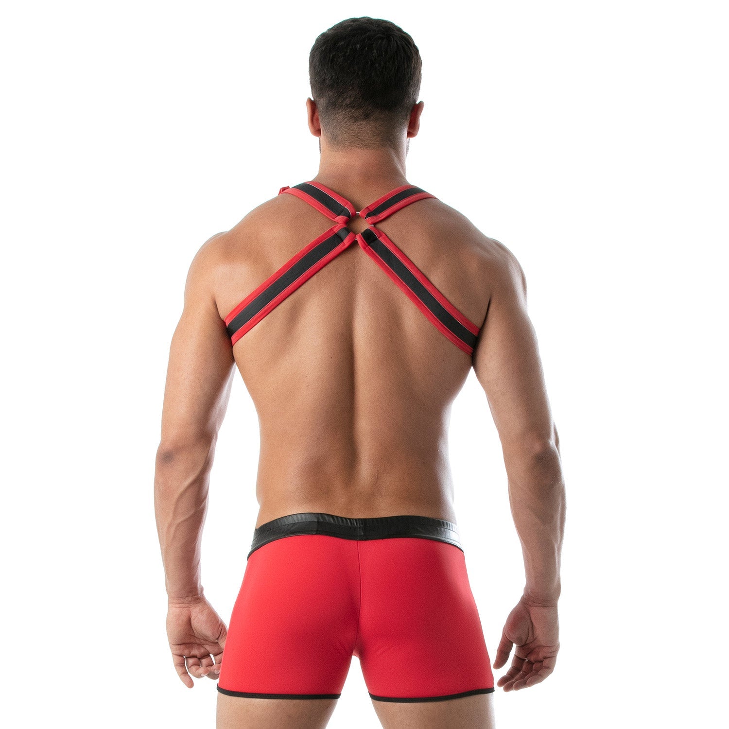 Neopren Bulldog Harness Rot - TOF Paris - Shop Deutschland Noodosz