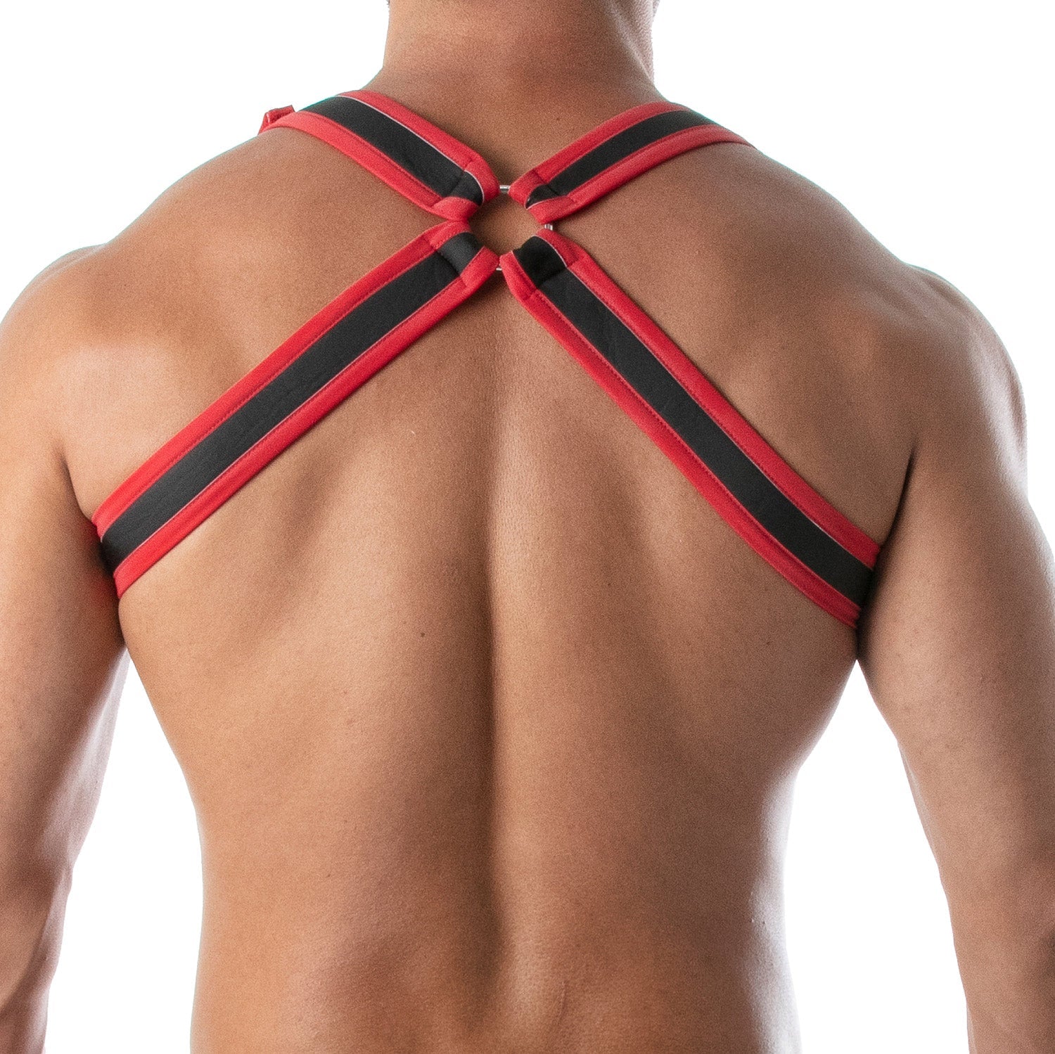 Neopren Bulldog Harness Rot - TOF Paris - Shop Deutschland Noodosz