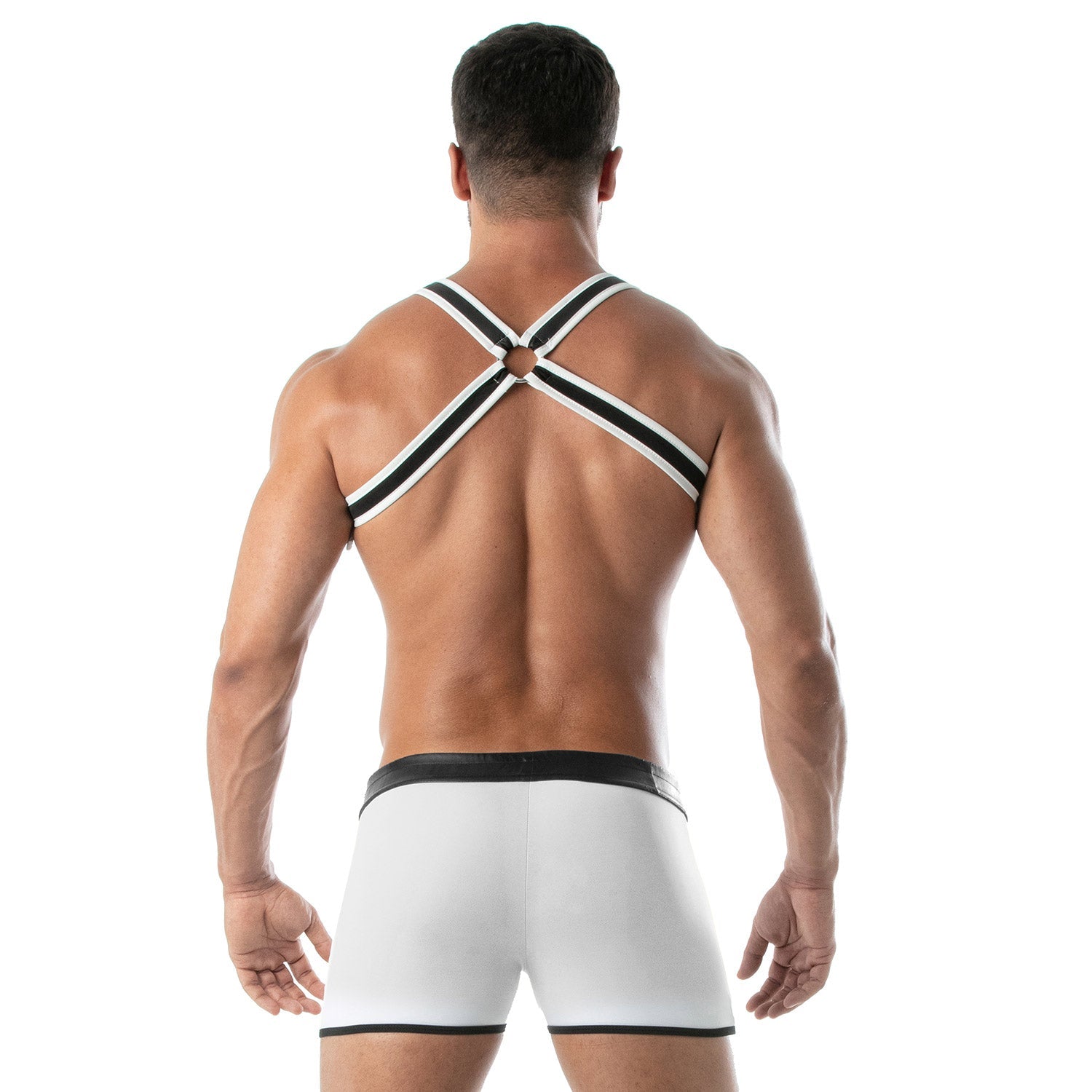 Neopren Bulldog Harness Weiß - TOF Paris - Shop Deutschland Noodosz