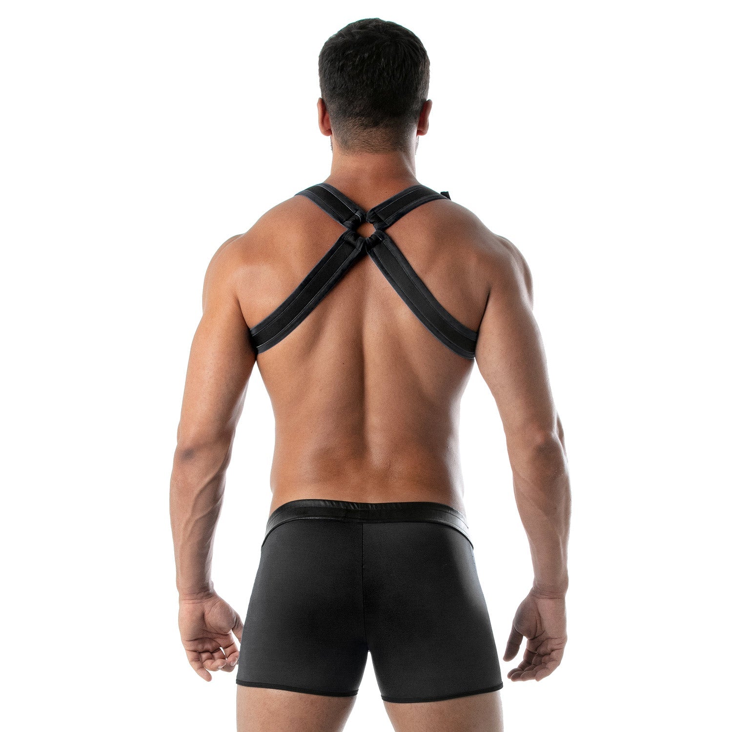 Neoprene Bulldog Harness Black - TOF Paris - Shop Deutschland Noodosz