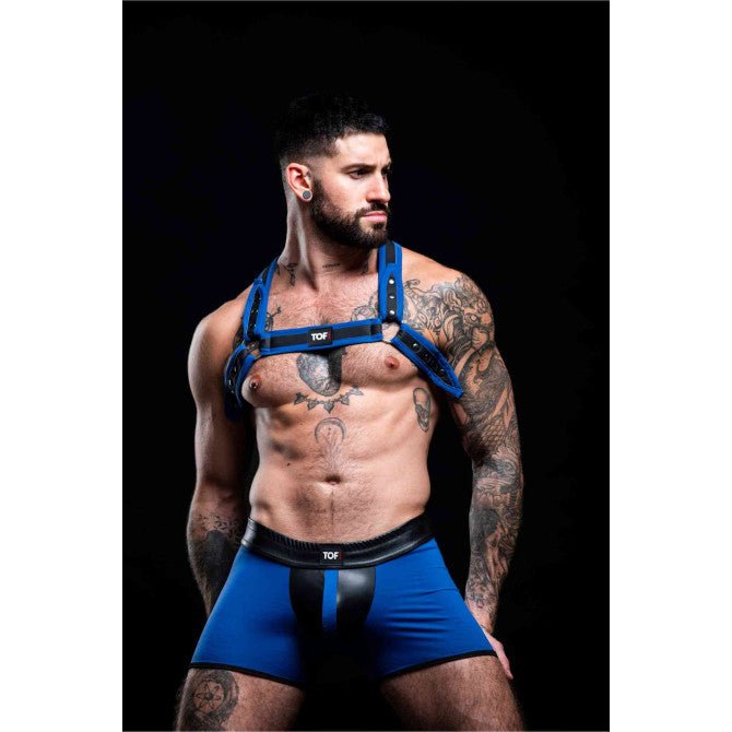 Neopren Bulldog Harness – Blau - TOF Paris - Shop Deutschland Noodosz