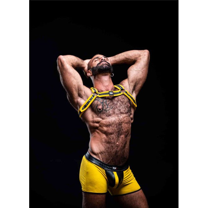 Neopren Bulldog Harness – Gelb - TOF Paris - Shop Deutschland Noodosz