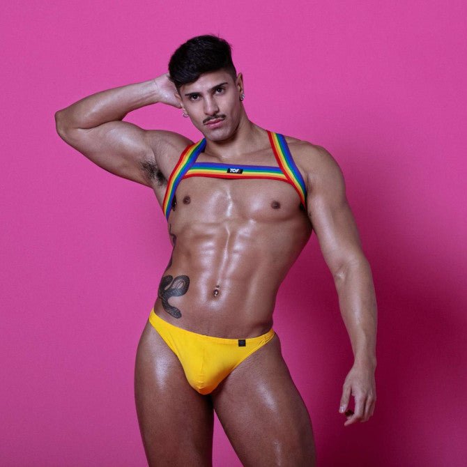 Rainbow Chest Harness - TOF Paris - Shop Deutschland Noodosz