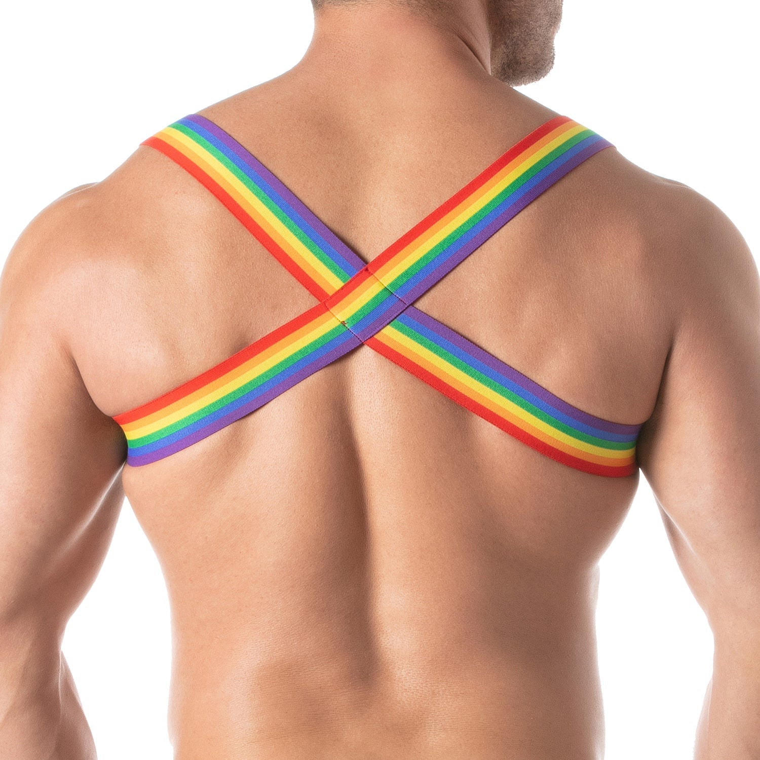 Rainbow Chest Harness - TOF Paris - Shop Deutschland Noodosz