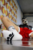 Sk8erboy® PUPPY Socks weiß Sk8erboy® Socken nudosz.myshopify.com