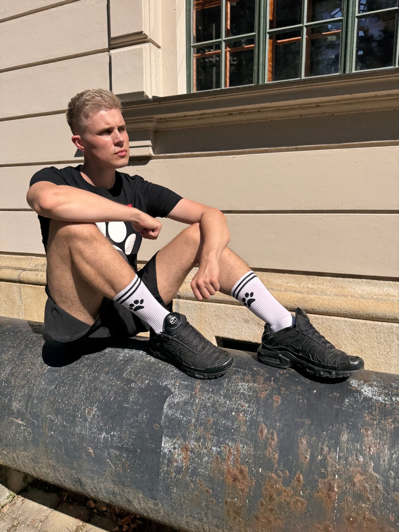 Sk8erboy® PUPPY Socks weiß - Sk8erboy® - Shop Deutschland Noodosz