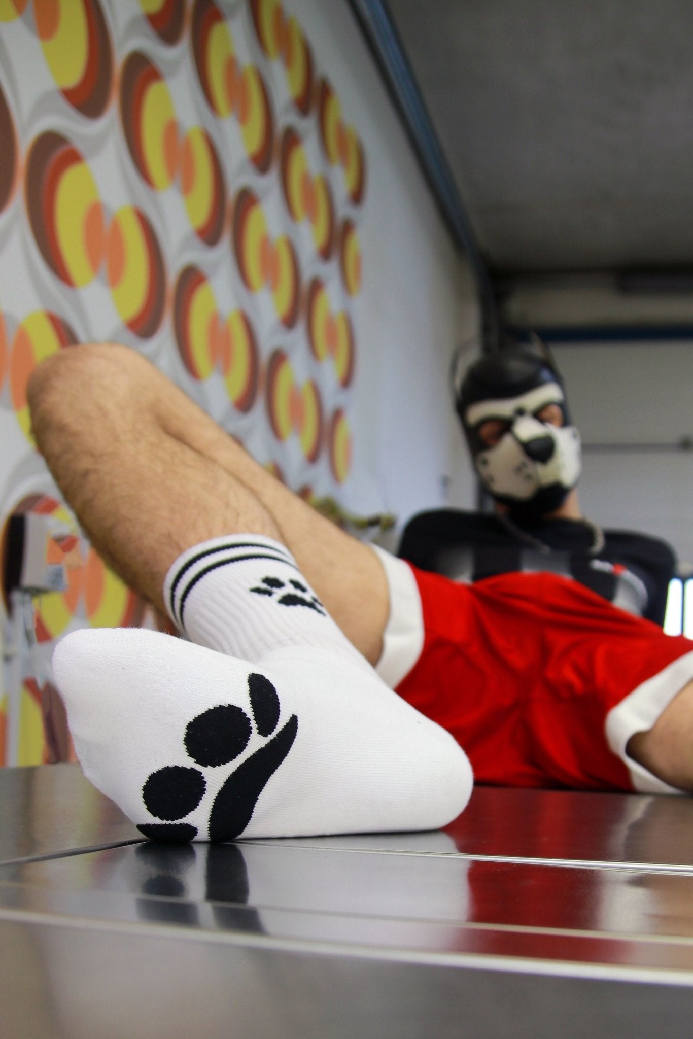 Sk8erboy® PUPPY Socks weiß - Sk8erboy® - Shop Deutschland Noodosz