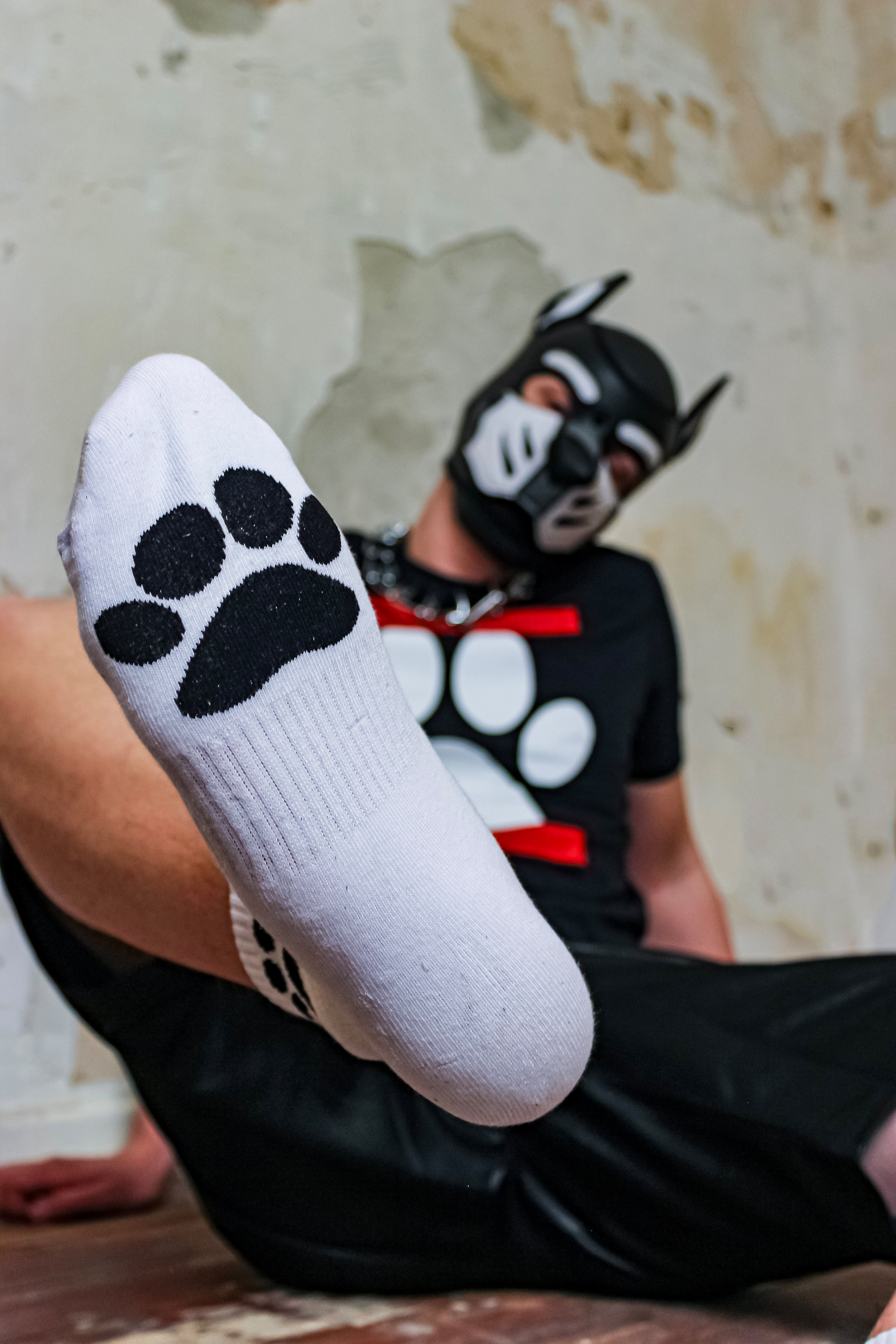 Sk8erboy® PUPPY Short Crew Socks weiß